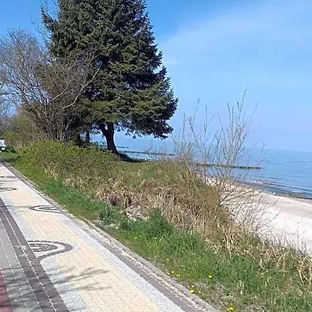 롯지 Baltic *