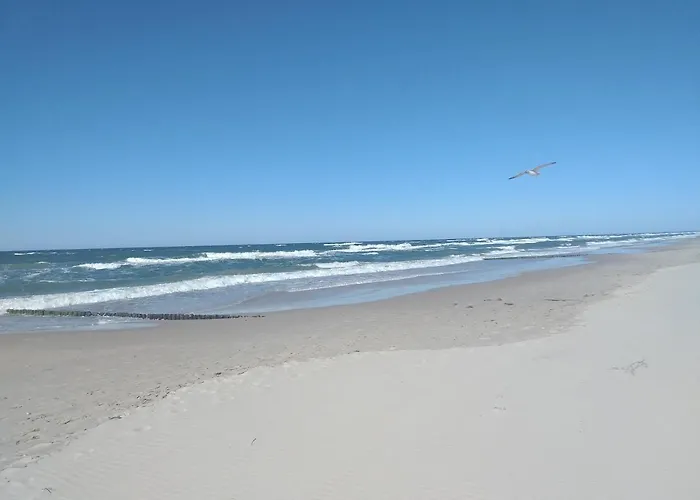 Baltic Domek letniskowy